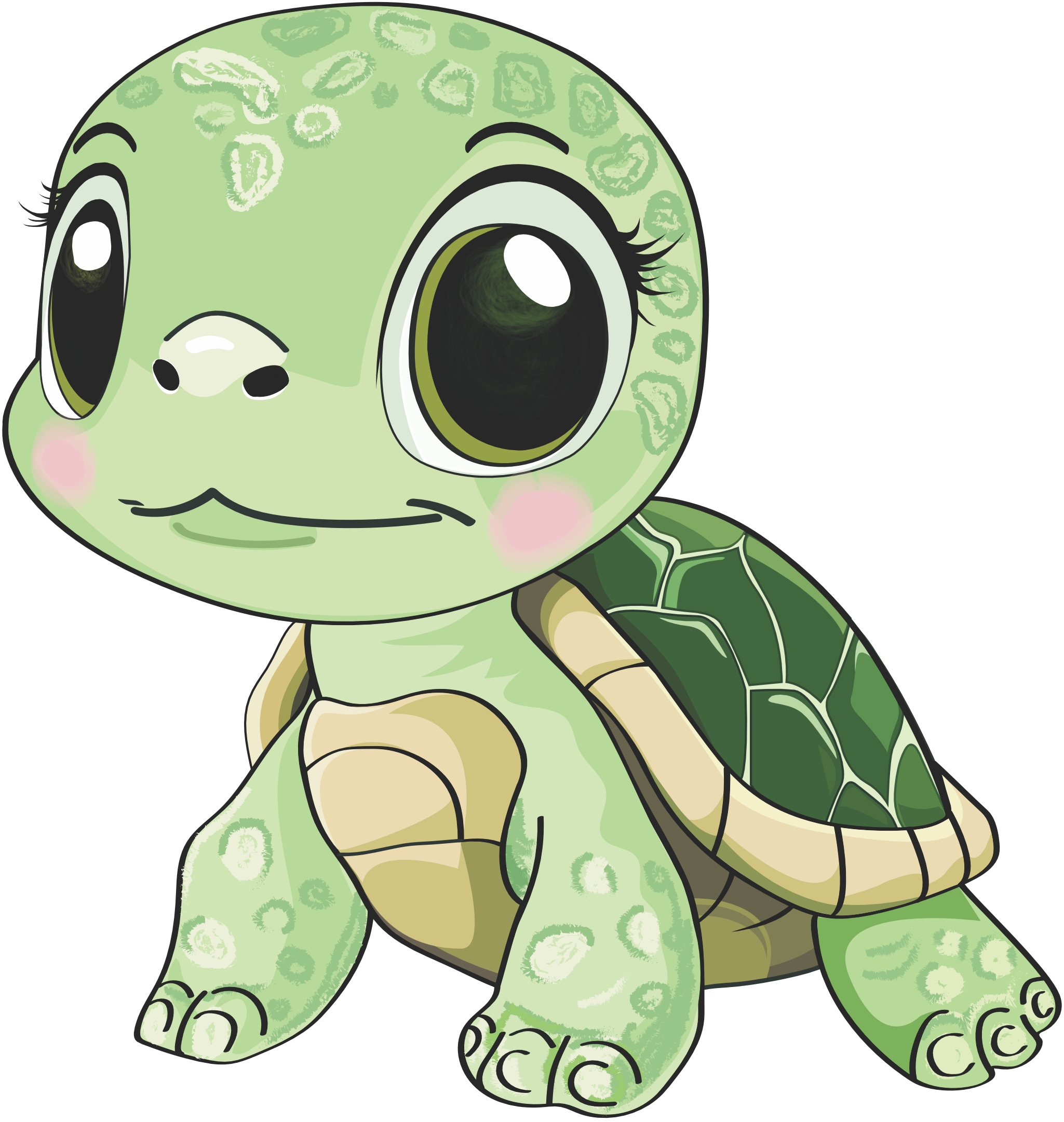 Черепашка Ракушка