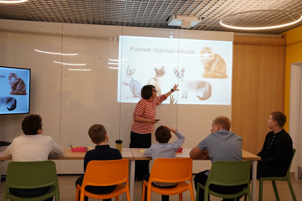 Мастер-класс «Веселый котик»