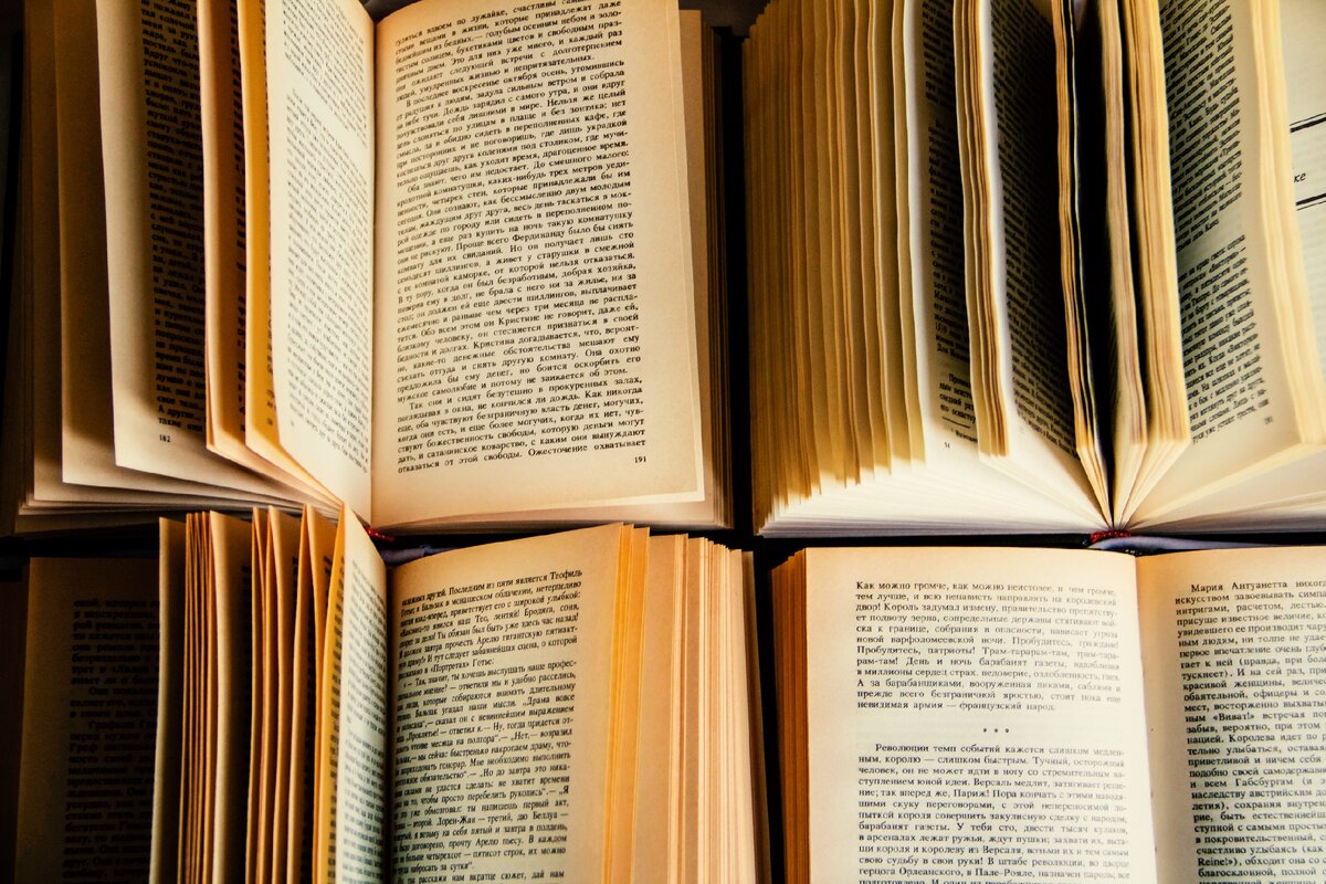 Художественная литература 