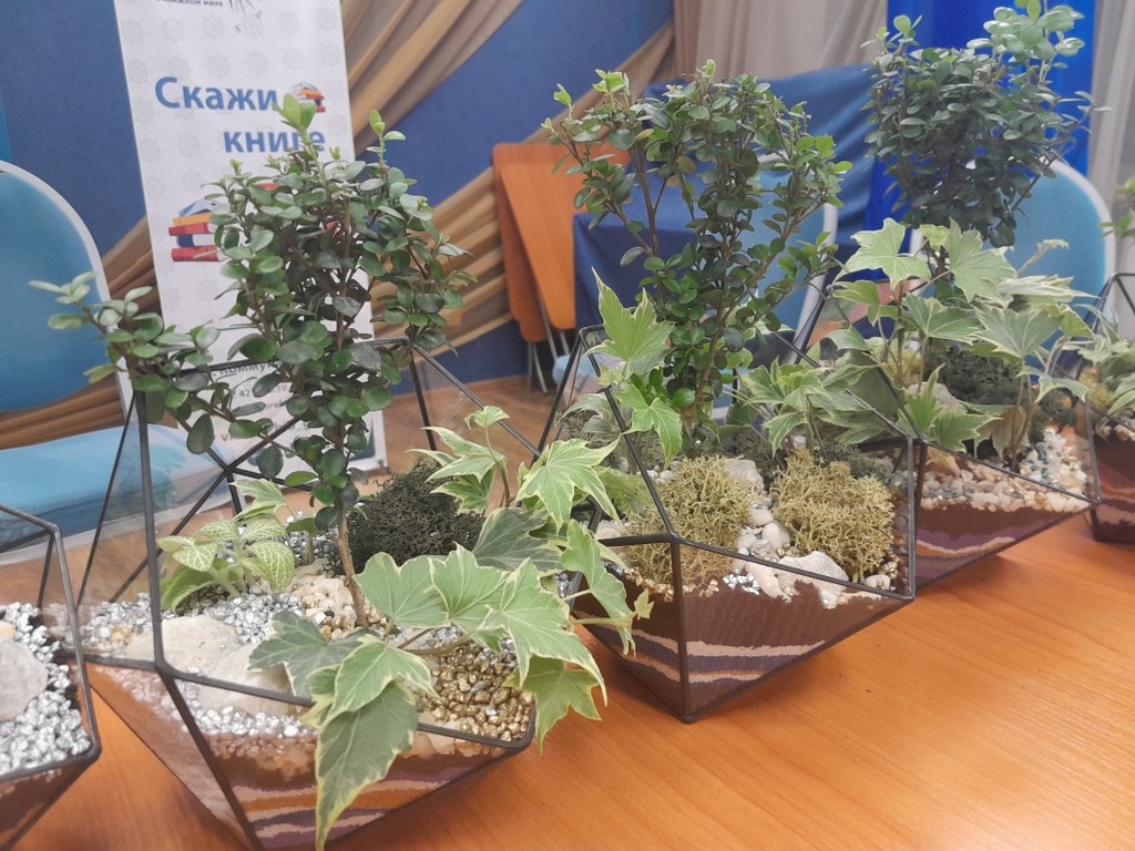 Мастер-класс по флорариуму