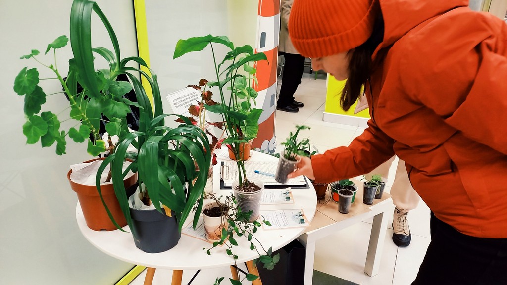 Экологическая акция «Грядка смотрителя Маяка»