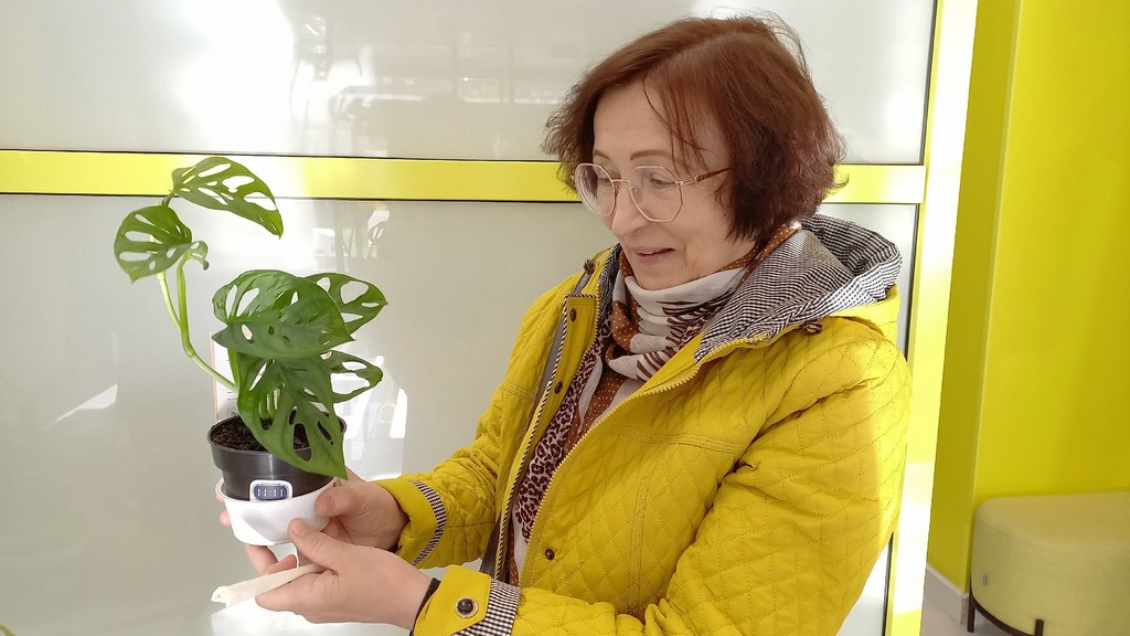 Фитокроссинг «Грядка смотрителя Маяка»